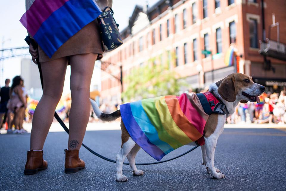 Jack the beagle watches the parade go by. Thousands turned out Saturday, June 18, 2022, for Stonewall Columbus' Pride parade Downtown. It was the first in-person event since 2019 and a welcome sight for many.