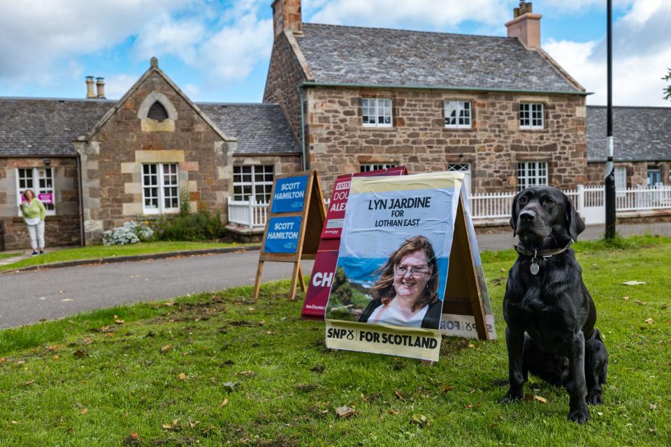 East Lothian, Scotland, UK, 04 July 2024. Dogs at Polling Places: the tradition of photographing dogs kicks off general election day. Pictured: Labrador Cuillin at the village hall in Dirleton. Credit: Sally Anderson/Alamy Live News