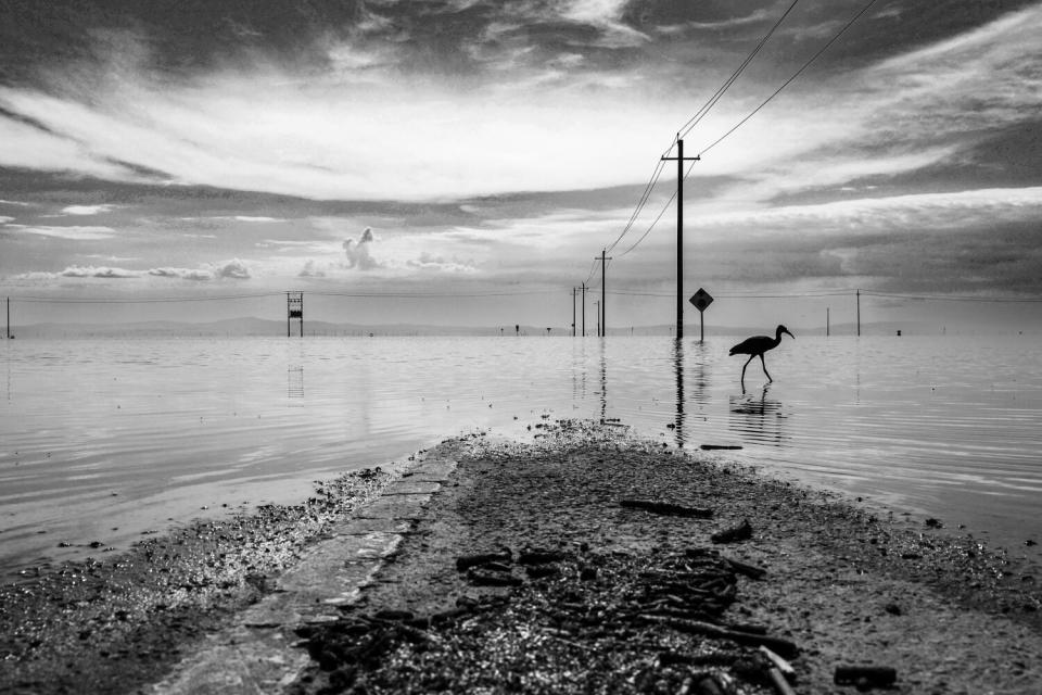 A road in an area of flat land disappears beneath floodwater.