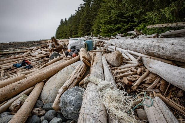 Rope and other plastic debris regularly becomes tangled up in logs on many of B.C.'s beaches. (Greg Rasmussen/CBC - image credit)