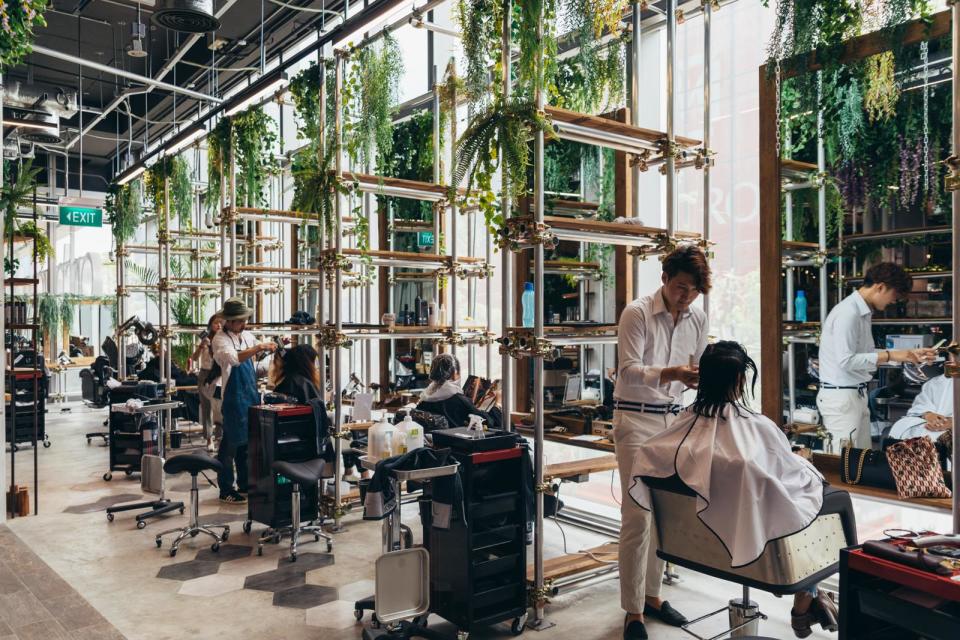 Hair salon with a nature-inspired decor