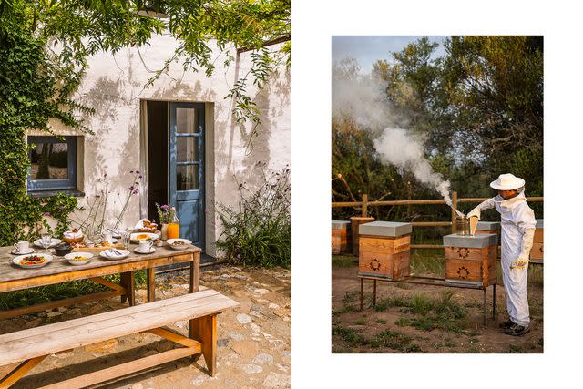 <p>From left: Ash James/Courtesy of SÃ£o LourenÃ§o do Barrocal; Jorge Vieira/Courtesy of SÃ£o LourenÃ§o do Barrocal</p> From left: An alfresco breakfast at SÃ£o LourenÃ§o do Barrocal; tending bees at the property's apiary.