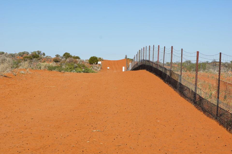 There was probably less vegetation north of the dingo fence than in the south. Shutterstock