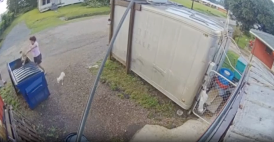 Footage was captured on Sebastian’s West End Seafood’s camera in Opelousas, Louisiana, showing a woman tossing the puppies in the dumpster (St Landry Parish Government)