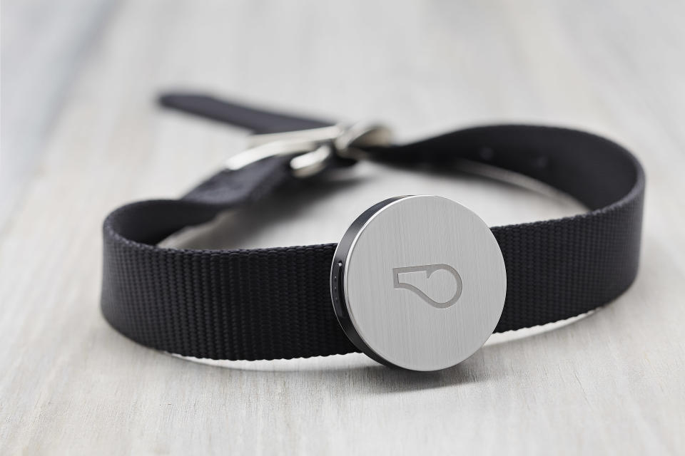 This product image provided by Whistle Labs, Inc. shows a new device, called Whistle, that lets pet owners track how much exercise _ or sleep _ their four-legged friends are getting. (AP Photo/Whistle Labs, Inc.)