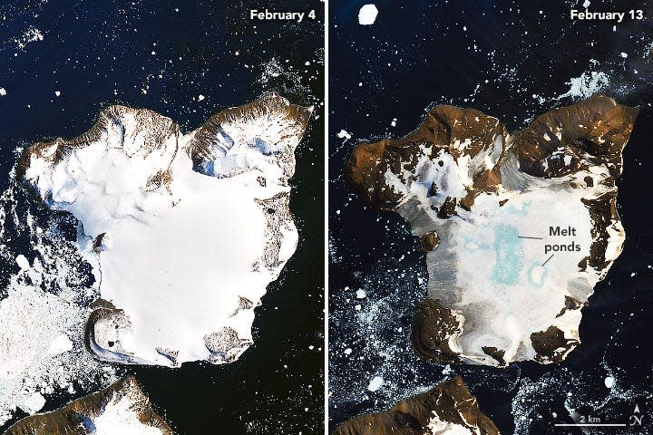 A pair of NASA satellite images taken nine days apart shows dramatic melting of snow on Eagle Island, Antarctica.