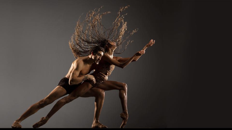 LINES, a ballet troupe that honors classical forms with their linear, mathematical and geometrical principles, is coming to East Lansing’s Wharton Center on Thursday, Feb. 23