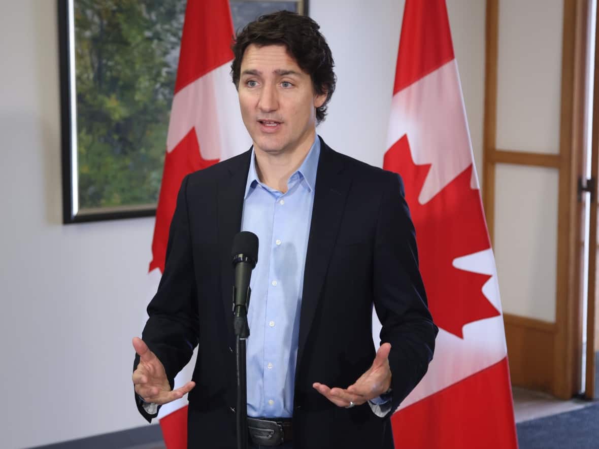 Prime Minister Justin Trudeau speaks to the media on February 12, 2023. Trudeau said Canada's intelligence agencies are working hard to counter electoral interference. (Patrick Doyle/The Canadian Press - image credit)