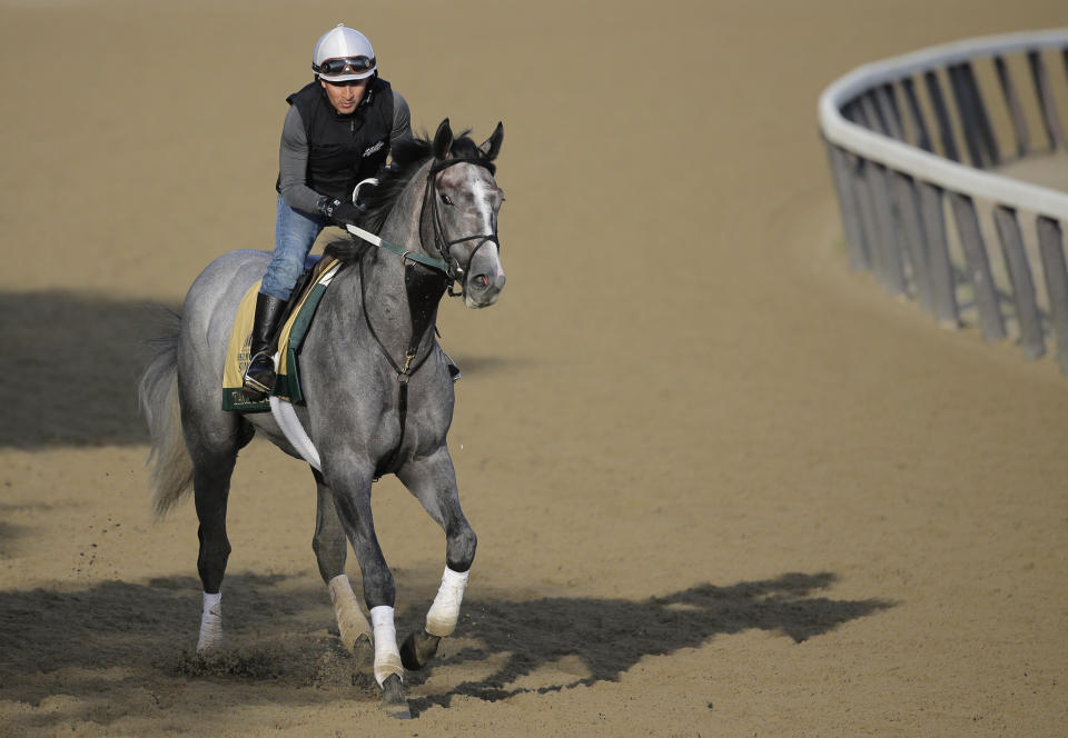 Exercise rider Joe Ramos rides Tacitus during a workout at Belmont Park in Elmont, N.Y., Friday, June 7, 2019. The 151st Belmont Stakes horse race will be run on Saturday, June 8, 2019. (AP Photo/Seth Wenig)