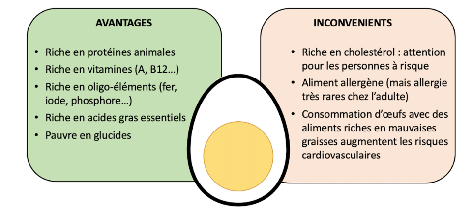 Résumé des points forts et faibles de l’œuf. Anouk Charlot, d’après The Golden Egg : Nutritional Value, Bioactivities, and Emerging Benefits for Human Health, Author provided