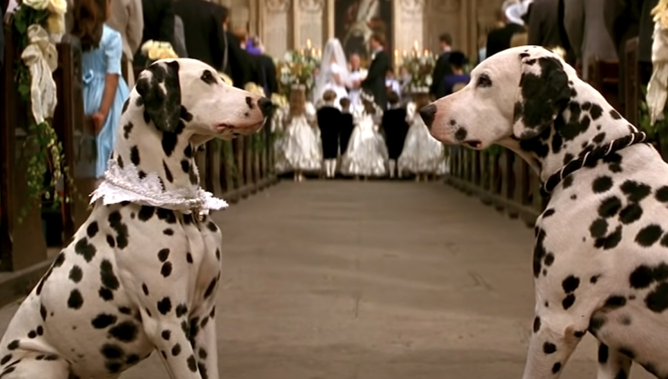 two real-life dalmations facing each other in a church as two people get married