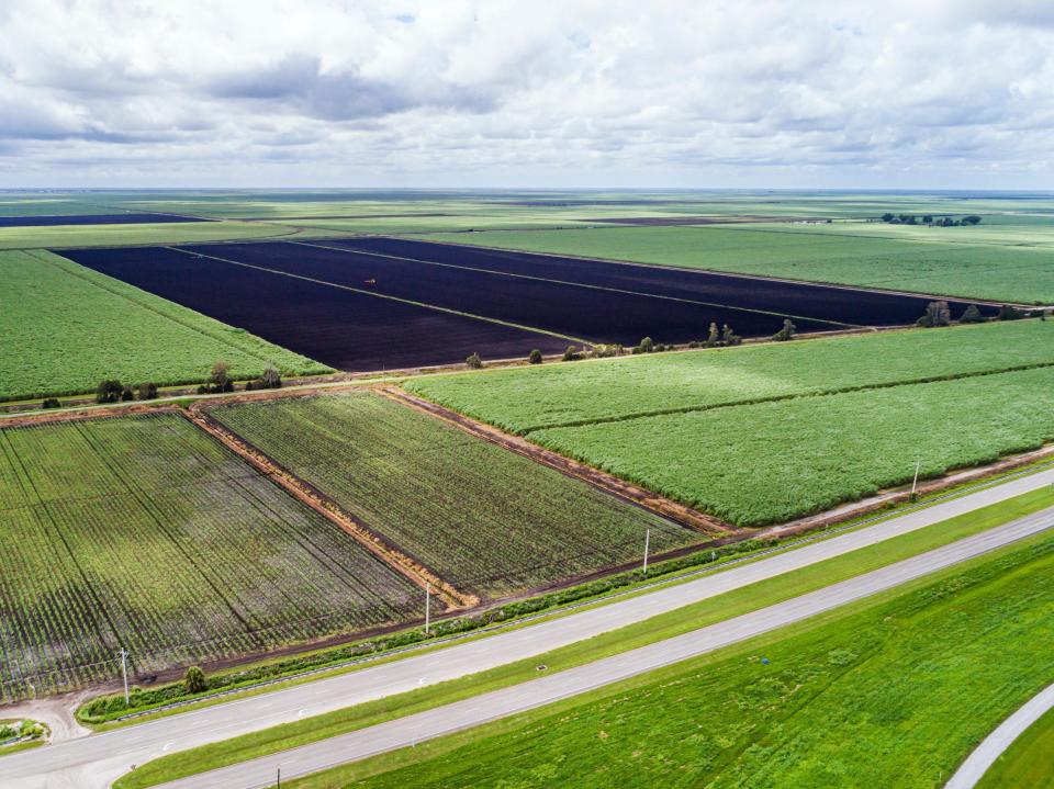 Florida farm land