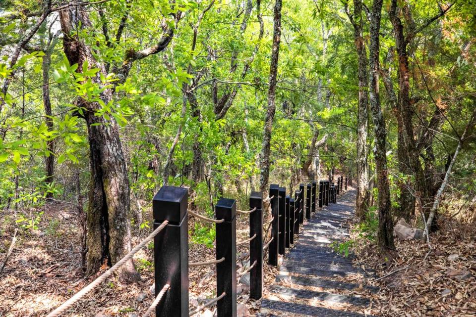 環山獵人登山步道建置工程獲得「風景遊憩類傑出獎暨年度大獎」雙料冠軍。   圖：取自參山處官網