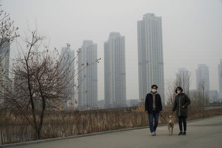 Cho Eun-hye (R) and her one-and-a-half-year-old Korean Jindo dog Hari, both wearing masks, go for a walk on a poor air quality day in Incheon, South Korea, March 15, 2019. REUTERS/Hyun Young Yi