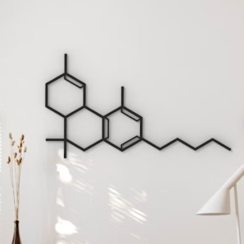 PRINTERIOR Dsgn THC Molecule Hanging Wall Art