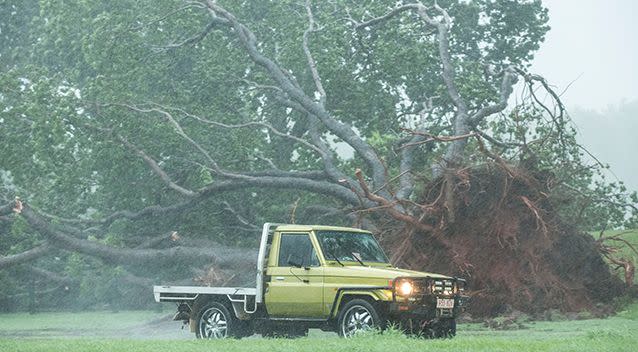 Winds create destruction as Tropical Cyclone Marcus bears down on Darwin. Source: AAP