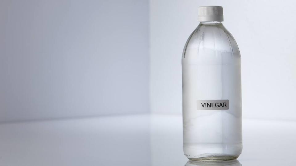 how to clean reusable water bottle: Bottle of white vinegar on gray white background