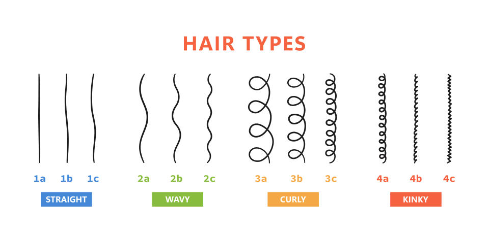 A graph shows the classification of hair types – straight, wavy, curly, frizzy. 