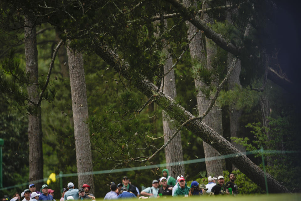 Patrons move away from trees that blew over on the 17th hole during the second round of the Masters golf tournament at Augusta National Golf Club on Friday, April 7, 2023, in Augusta, Ga. (AP Photo/Matt Slocum)
