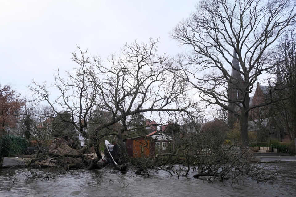 A boat hangs from a tree that was uprooted by storm Eunice in Voorburg, the Netherlands on Friday, Feb. 18, 2022. The Dutch weather institute issued its highest warning, code red, for coastal regions of the Netherlands and code orange for much of the rest of the country as the storm bore down on the low-lying nation. (AP Photo/Michael Corder)
