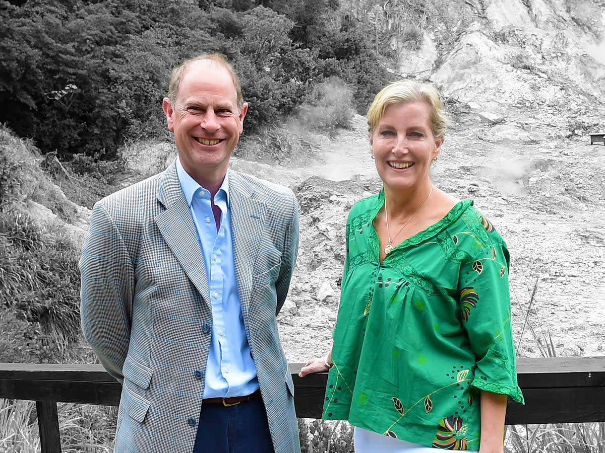 Prince Edward, Earl of Wessex and Sophie, Countess of Wessex (Stuart C Wilson/Getty)