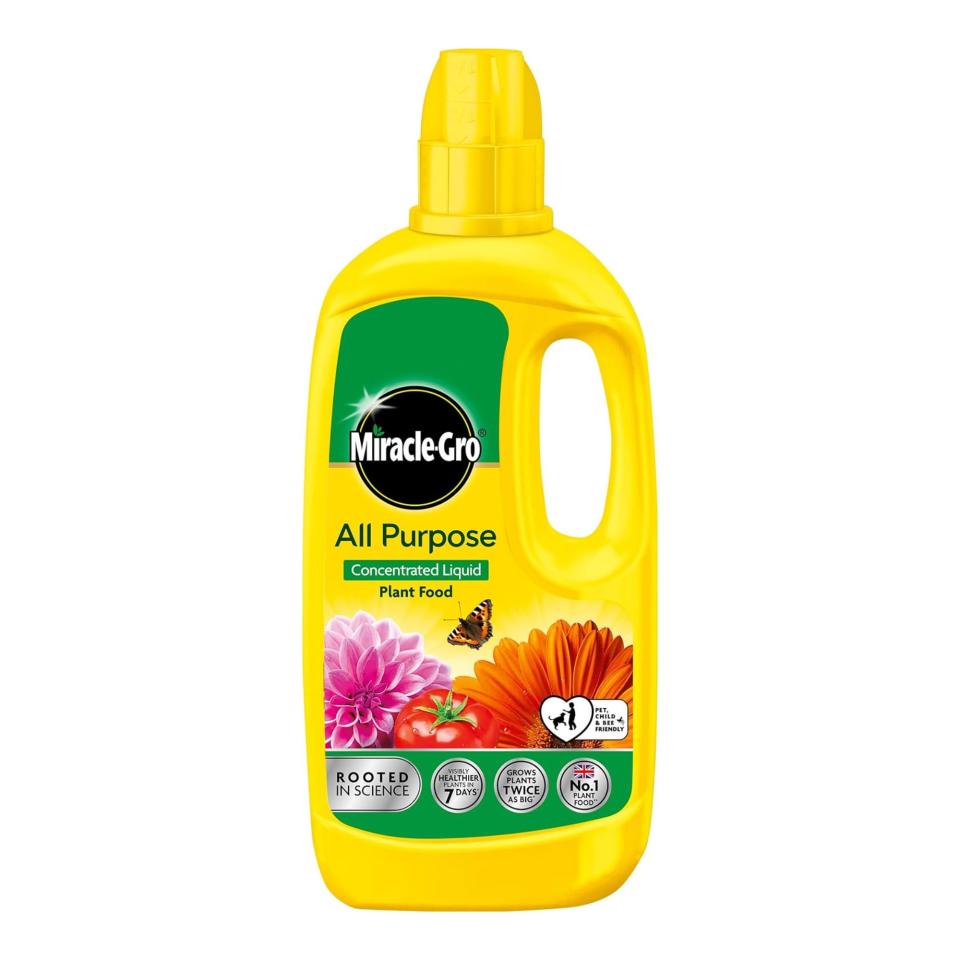 Miracle Gro All Purpose Concentrated Liquid Plant Food, 800ml