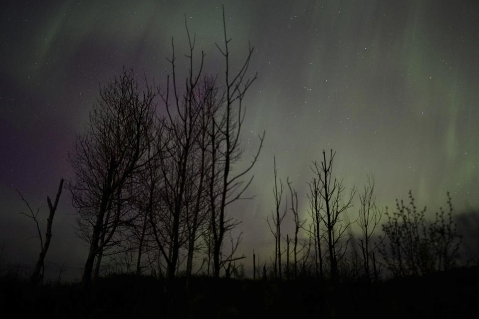 The northern lights glow in the sky over St. Croix State Forest near Markville, Minn., late Friday, May 10, 2024. (AP Photo/Mark Vancleave)