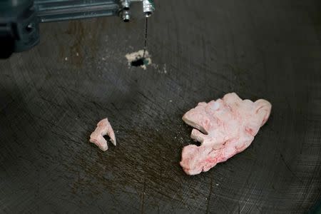 A worker uses a saw to cut a piece from a human brain slice at a brain bank in the Bronx borough of New York City, New York, U.S. June 28, 2017. REUTERS/Carlo Allegri