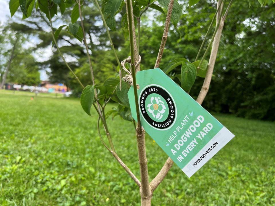 A Dogwood Arts tag hangs on a dogwood tree in West Hills Park on April 30, 2024. Several trees were recently planted there in honor of several longtime West Hills Community Association volunteers.