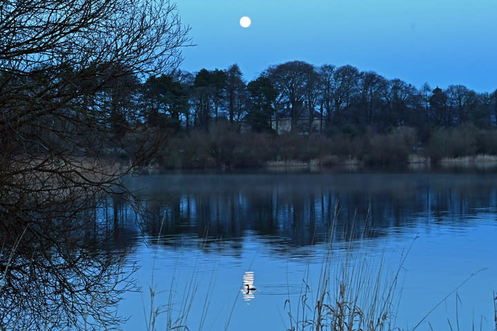 the moon reflecting in a lake with trees