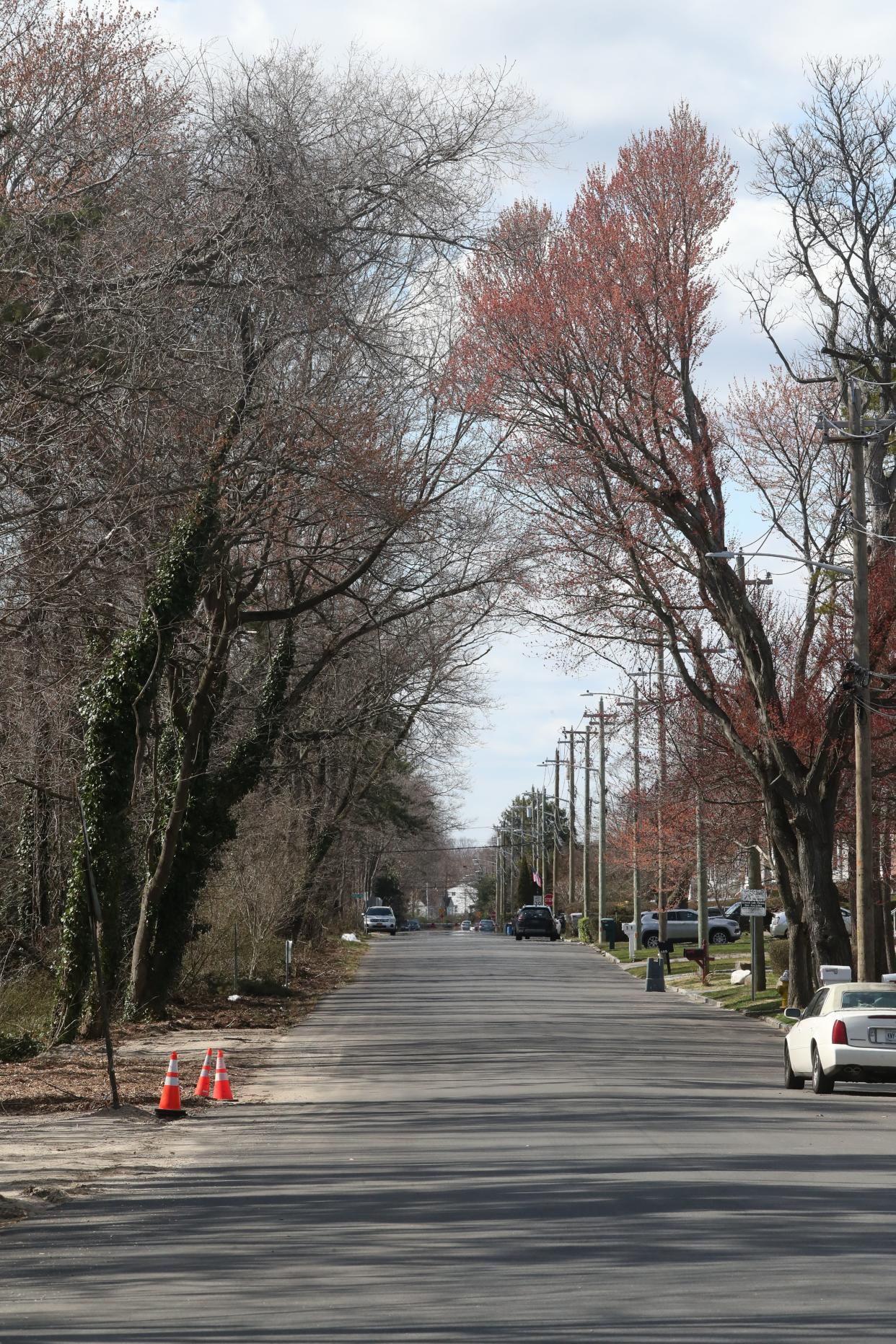 A strip of woods along Lakeway Drive in West Babylon, New York March 19, 2024. On March 5, body parts were discovered in these woods.