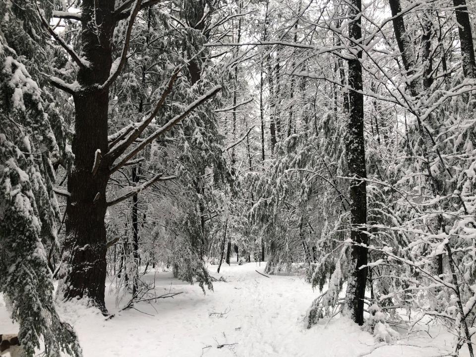 The trails in the woods off of the South Burlington Recreation Path were deep in snow on Tuesday afternoon, March 14, 2023.
