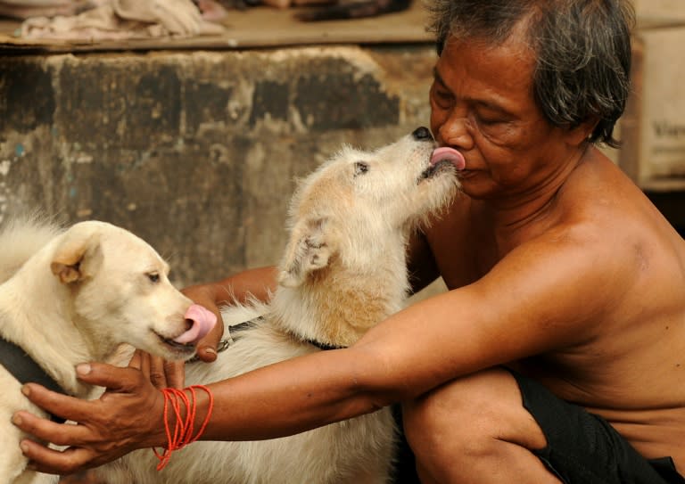 Experiments involving several hundred dogs, and a sweeping analysis of their genomes, uncovered a handful of genetic variants clearly linked to canines being friendly with humans