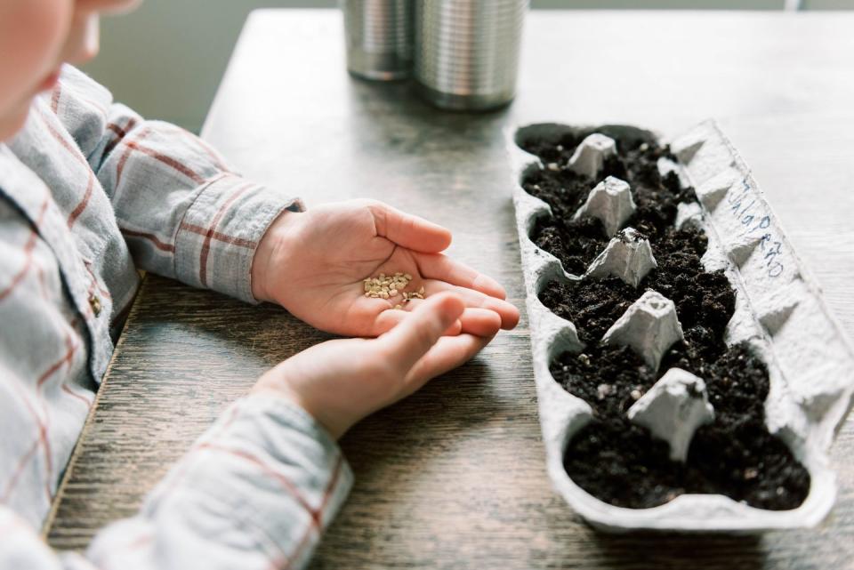 <p>You don't even need empty planters to get the garden growing — an old egg carton will do the trick at first. To make it more of STEM activity, give kids journals so they can take notes on what they've planted and keep track of their garden's progress. </p><p>They can even draw the heights of their seedlings as they grow. Bonus: Plant basil seeds or other herbs, and you'll have delicious ingredients for a cooking project. (Tip: If you don't want to go the DIY route, Creativity for Kids offers kits for growing <a href="https://go.redirectingat.com?id=74968X1596630&url=https%3A%2F%2Fwww.walmart.com%2Fip%2FCreativity-for-Kids-Sunflower-Garden-Child-Craft-Kit-for-Boys-and-Girls%2F315894448&sref=https%3A%2F%2Fwww.goodhousekeeping.com%2Flife%2Fparenting%2Fg31445865%2Findoor-activities-for-kids%2F" rel="nofollow noopener" target="_blank" data-ylk="slk:sunflowers;elm:context_link;itc:0;sec:content-canvas" class="link ">sunflowers</a> or a <a href="https://www.amazon.com/Creativity-Kids-Pizza-Garden-Kit/dp/B08VLZBQ49?tag=syn-yahoo-20&ascsubtag=%5Bartid%7C10055.g.31445865%5Bsrc%7Cyahoo-us" rel="nofollow noopener" target="_blank" data-ylk="slk:pizza garden;elm:context_link;itc:0;sec:content-canvas" class="link ">pizza garden</a> that have all the materials you need.) </p>