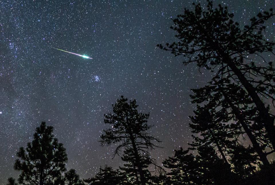 2016 Perseid Meteor Fireball Streaks Above Pine Trees