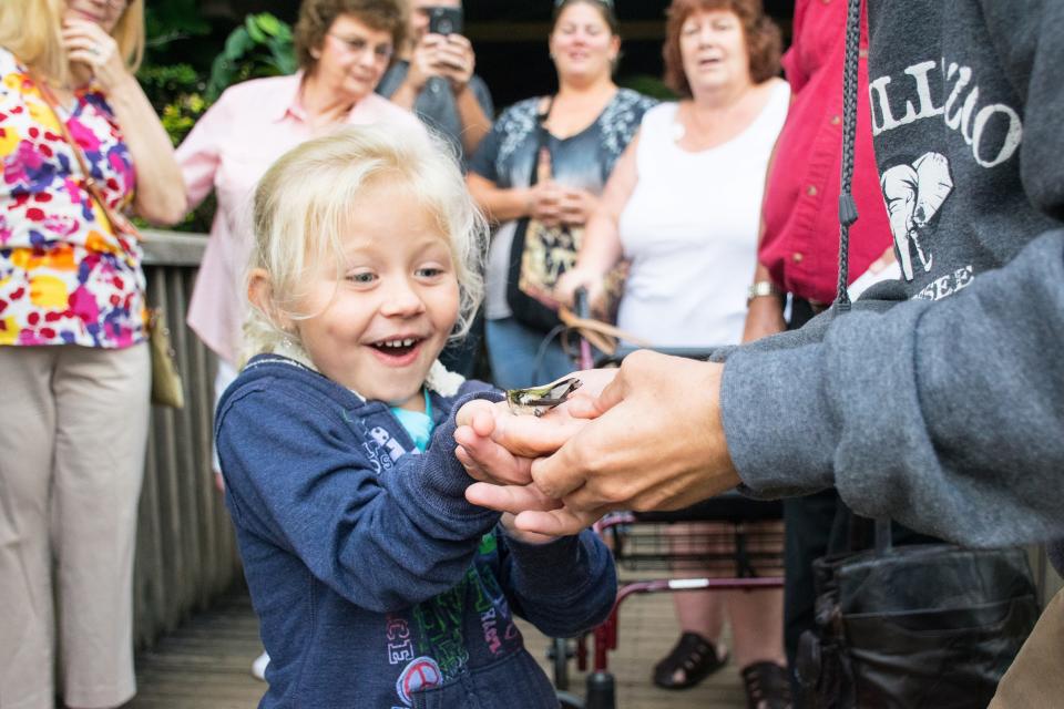 This little girl is thrilled with her “up close and personal” experience with a hummingbird at Ijams Nature Center’s annual Hummingbird Festival. Aug. 26, 2017