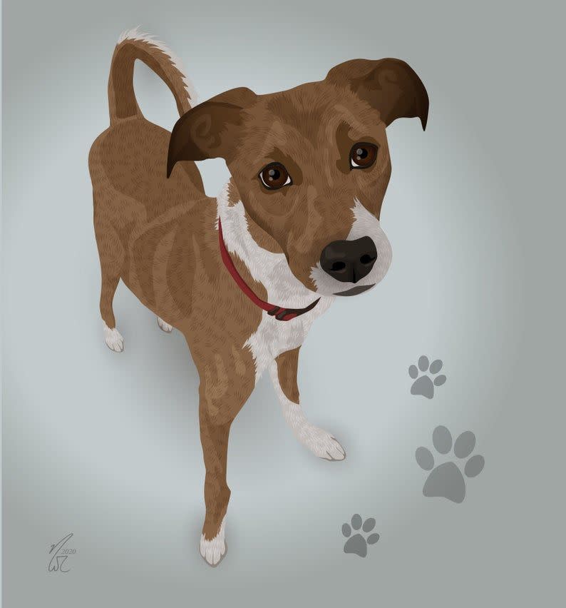 11) Custom Pet Portrait