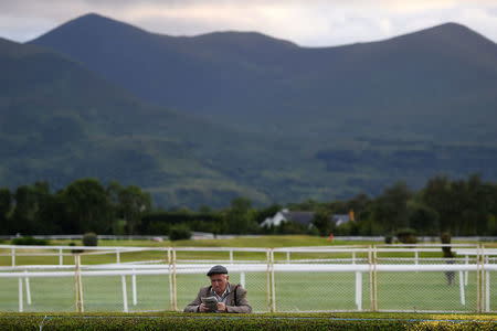 A punter checks his racecard before a race at the Killarney Racecourse in County Kerry in Killarney, Ireland, July 19, 2017. REUTERS/Clodagh Kilcoyne