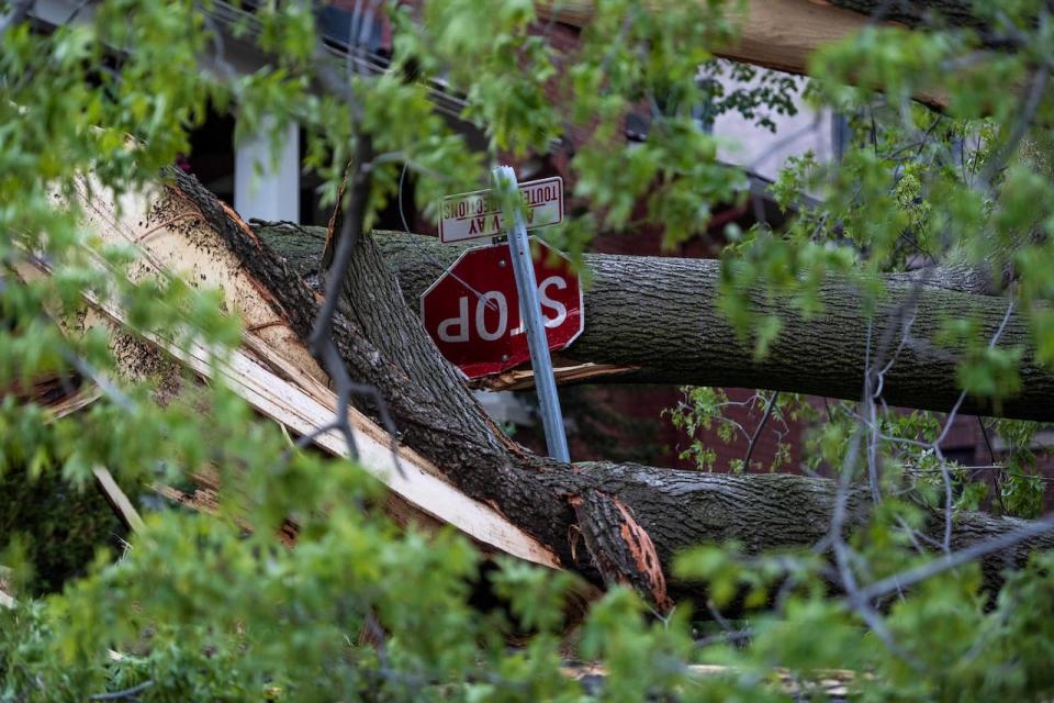 A stop sign is damaged after a tree fell on it during a major storm in Ottawa on Sat., May 21.