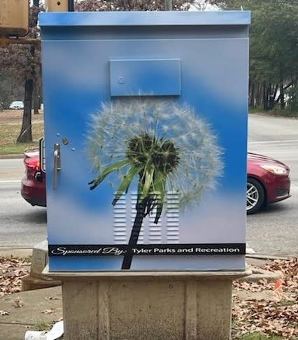 Traffic boxes in Tyler highlighting the Beauty and the Box program