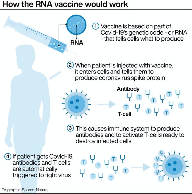 Coronavirus graphic