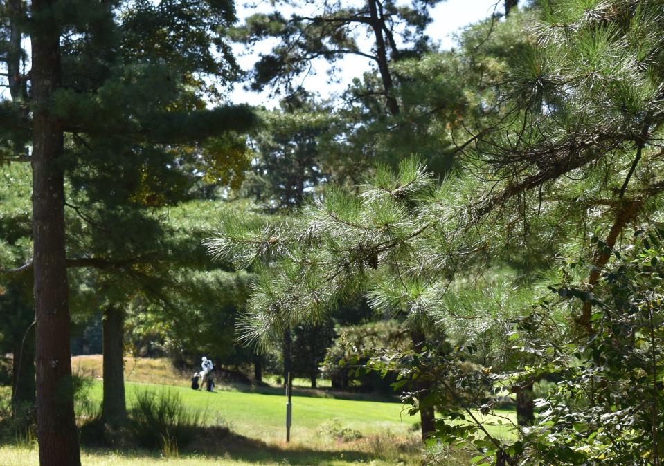 Un golfista juega en Pine Valley Golf Club