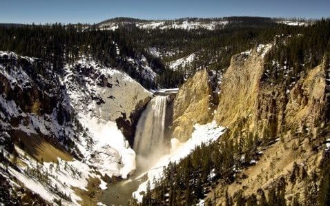 Yellowstone National Park, was due to host its first licensed trophy hunts for more than 40 years