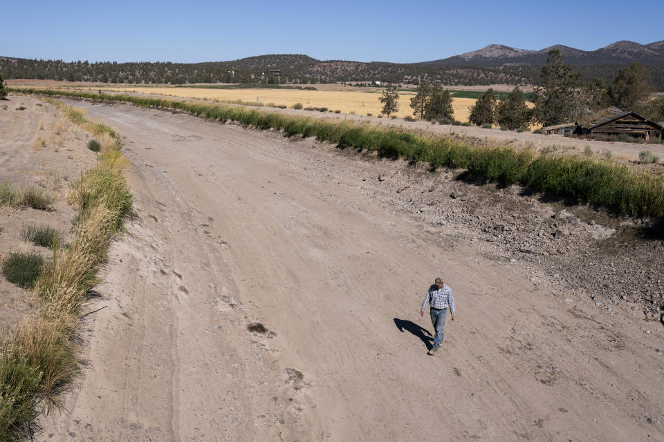 FILE - Matt Lisignoli walks through an irrigation canal that ran dry in early August after the North Unit Irrigation District exhausted its allocated water on Sept. 1, 2021, near Madras, Ore. The American West's megadrought deepened so much last year that it is now the driest it has been in at least 1200 years and a worst-case scenario playing out live, a new study finds. (AP Photo/Nathan Howard, File)