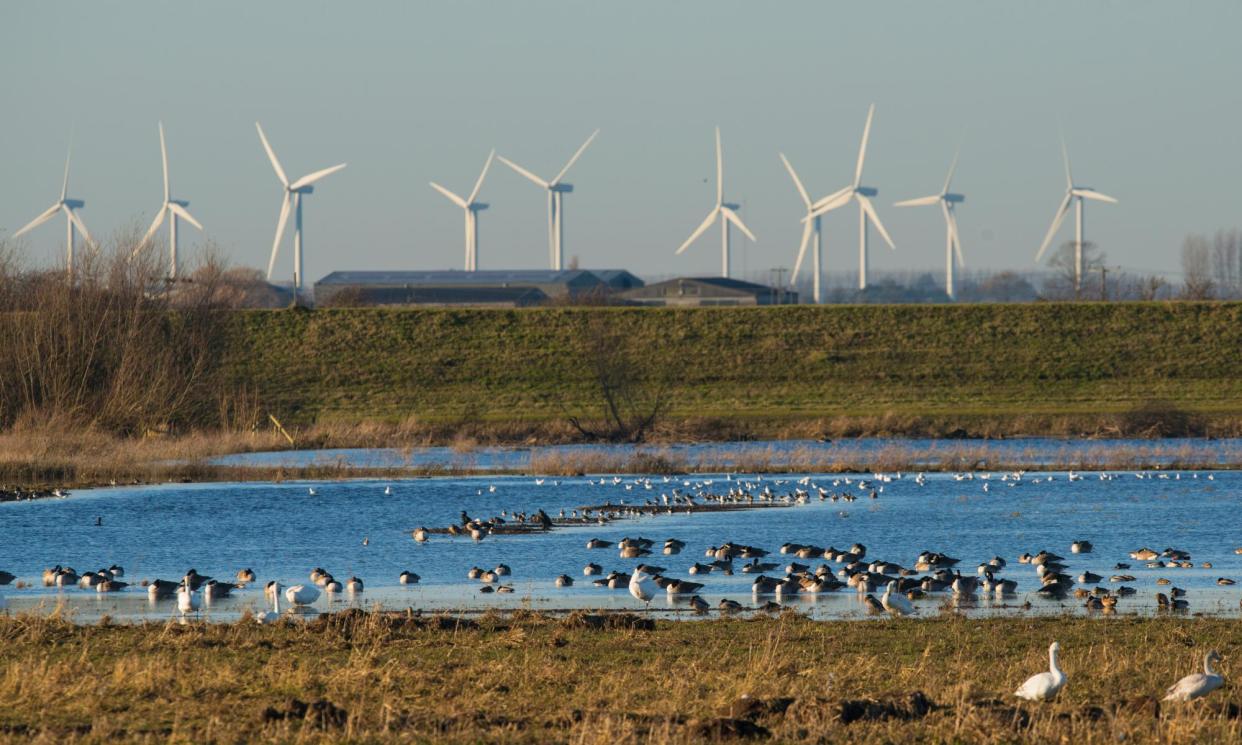 <span>A growing body of evidence suggests green spending could provide a greater boost than tax cuts.</span><span>Photograph: Mike Powles/Getty Images</span>