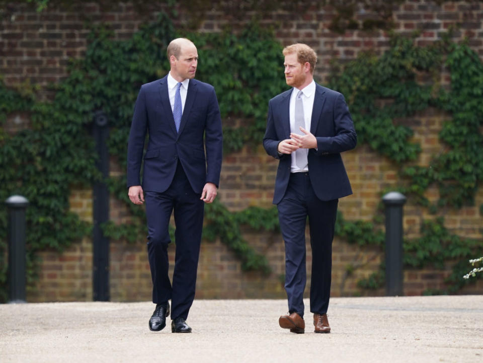 Prince William and Prince Harry walk through a garden. 