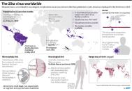 The Zika virus