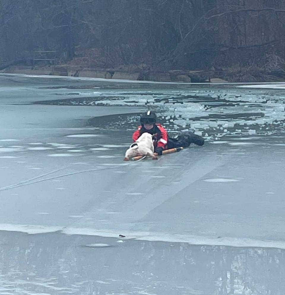 Coast Guard Dog Rescue Detroit River