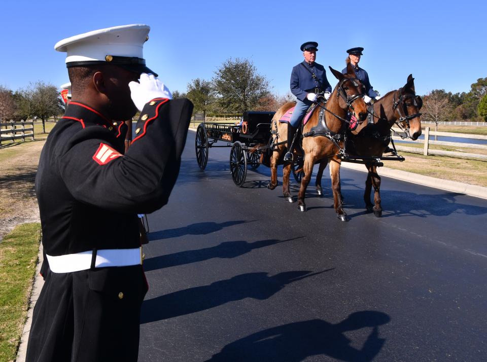 Denise and Tom Fitzgerald and their mule-drawn caisson approach Committal Shelter 2 during a military funeral for WWII Marine Corps veteran Frank Roth on Jan. 27 at Cape Canaveral National Cemetery in Scottsmoor.