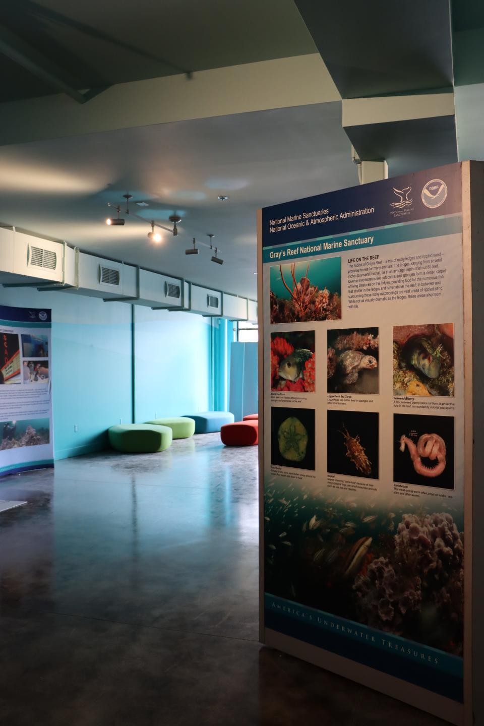 Inside the Gray's Reef Ocean Discovery Center.